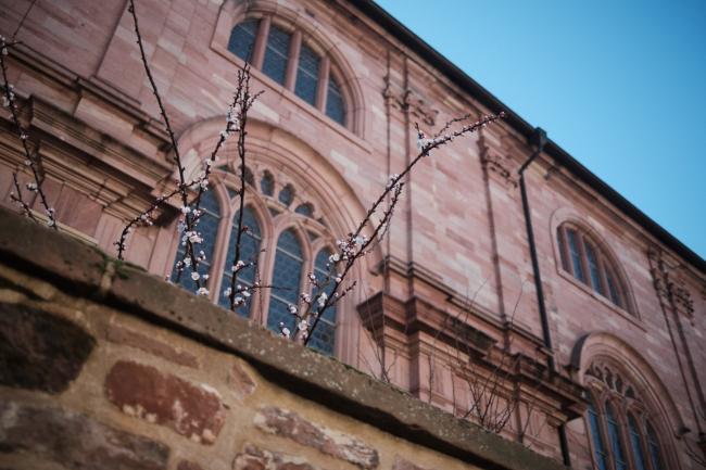 Guten Morgen Heidelberg